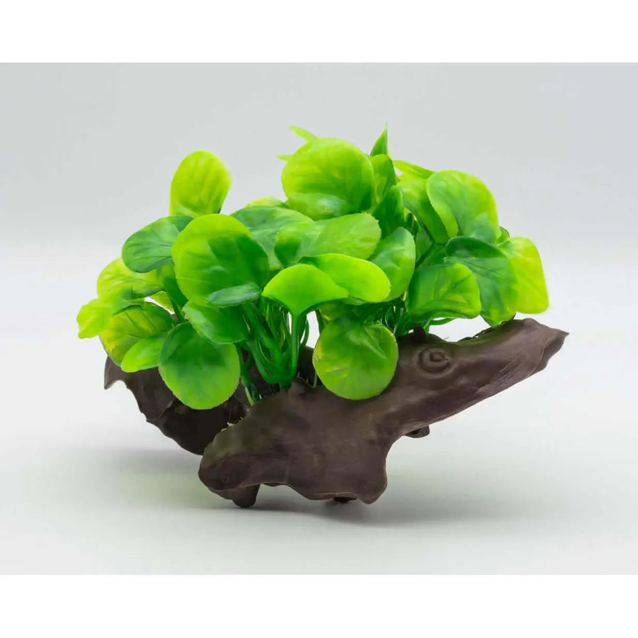 Buy AquaSpectra Anubis on Log 18cm (1DA445) Online at £3.29 from Reptile Centre