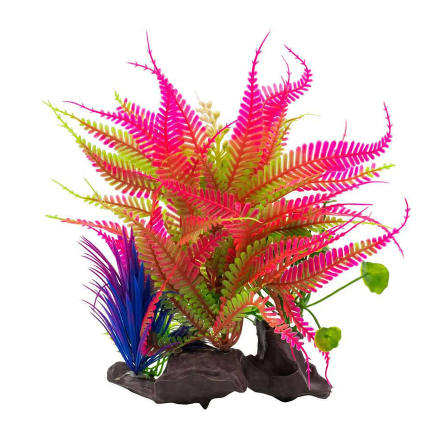 Buy AquaSpectra Fern on Log Bright Red 18cm (1DA338) Online at £5.79 from Reptile Centre