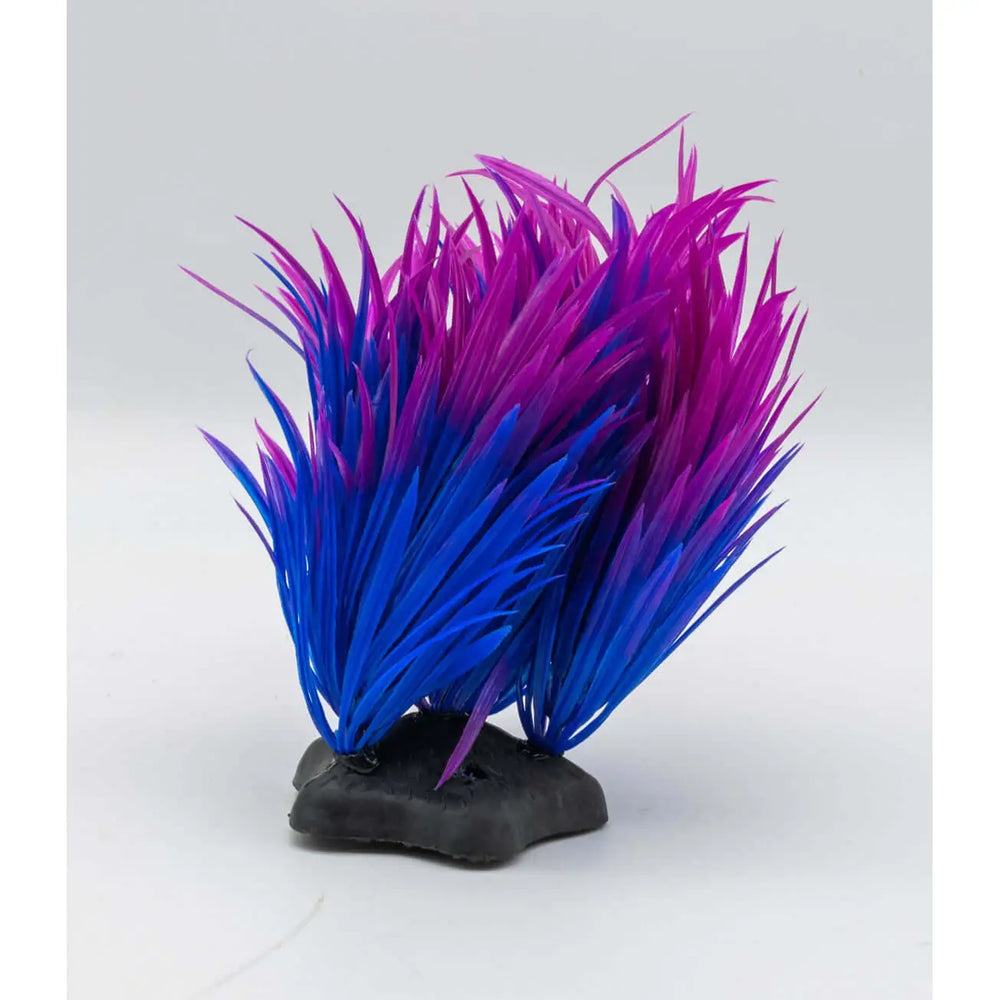 Buy AquaSpectra Helanthium Plant 10cm (1DA241) Online at £1.19 from Reptile Centre