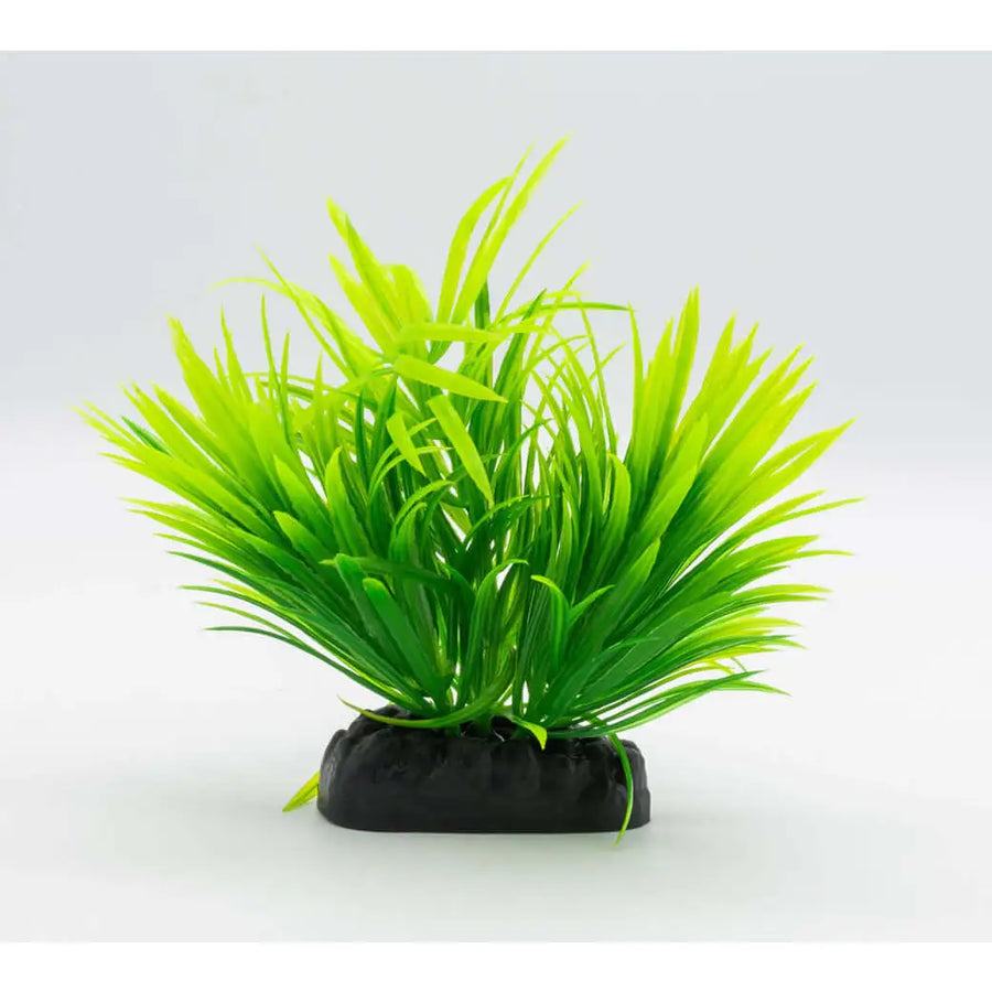 Buy AquaSpectra Helanthium Plant 10cm (1DA240) Online at £1.19 from Reptile Centre