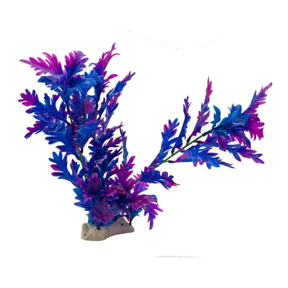 Buy AquaSpectra Hygrophila Plant 30cm (1DA306) Online at £5.19 from Reptile Centre
