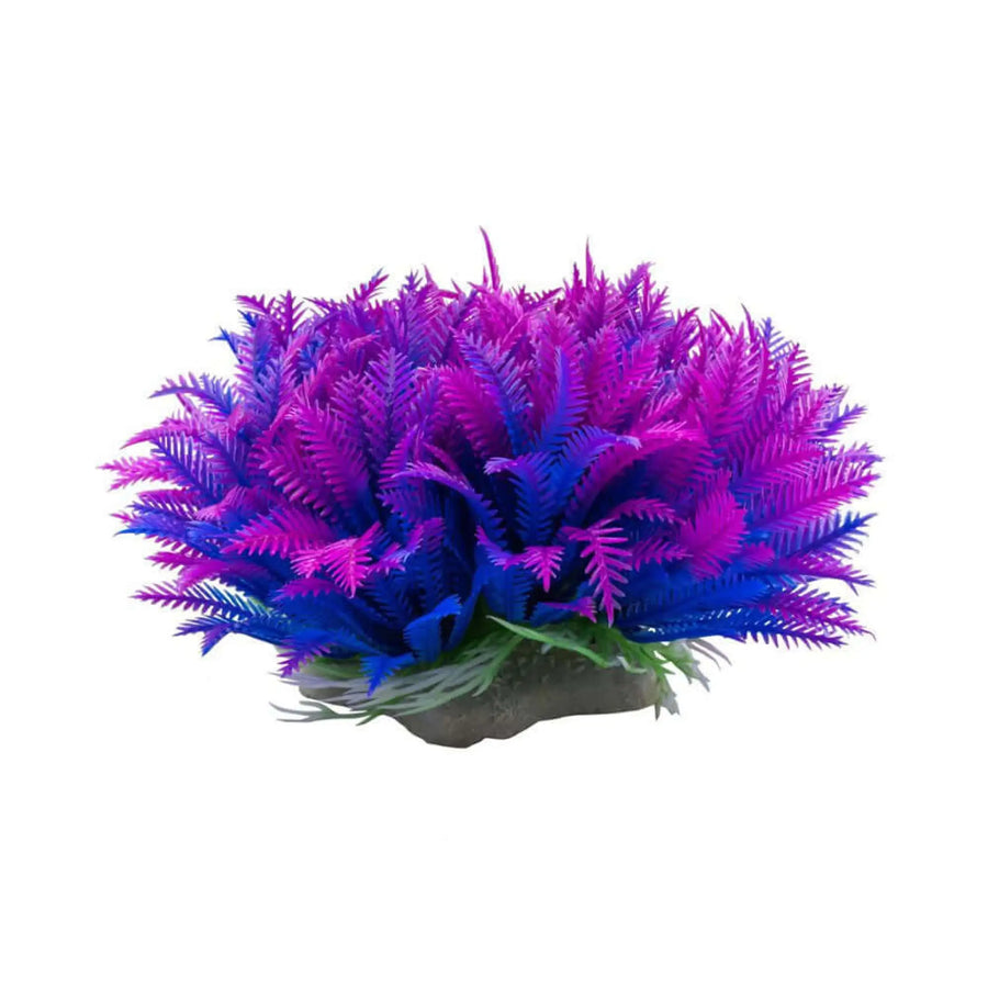 Buy AquaSpectra Myriophyllum Purple 14cm (1DA246) Online at £2.39 from Reptile Centre