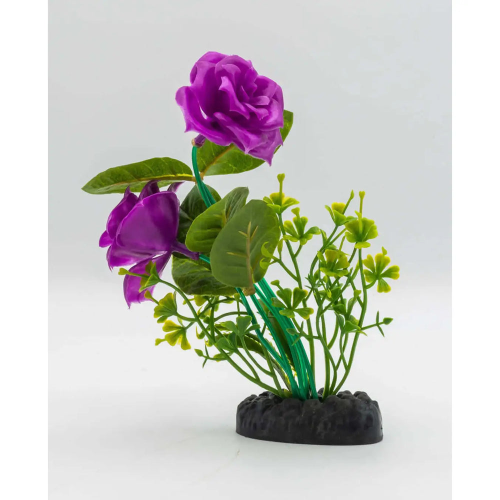 Buy AquaSpectra Rose 15cm (1DA451) Online at £2.89 from Reptile Centre