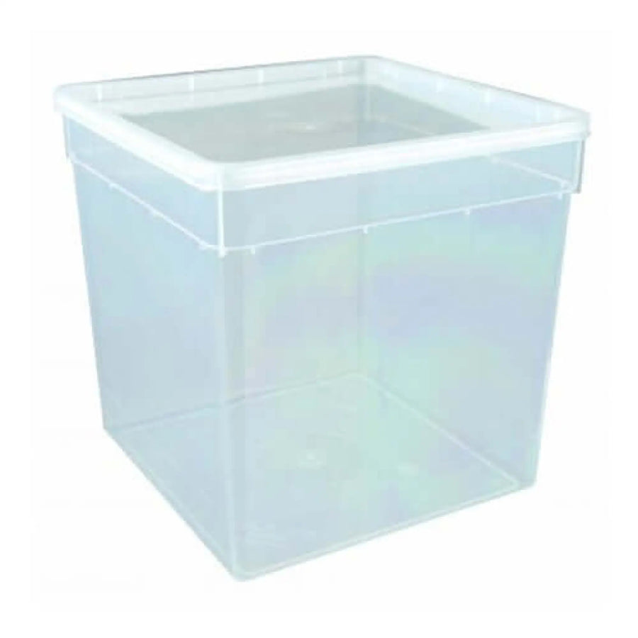 Buy BraPlast Box 5.8L 185x185x190mm (TBP058) Online at £2.19 from Reptile Centre