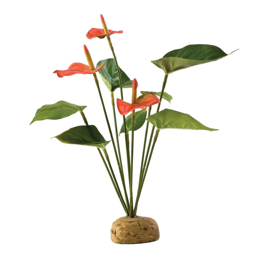 Buy Exo Terra Anthurium Bush (PHR015) Online at £9.19 from Reptile Centre