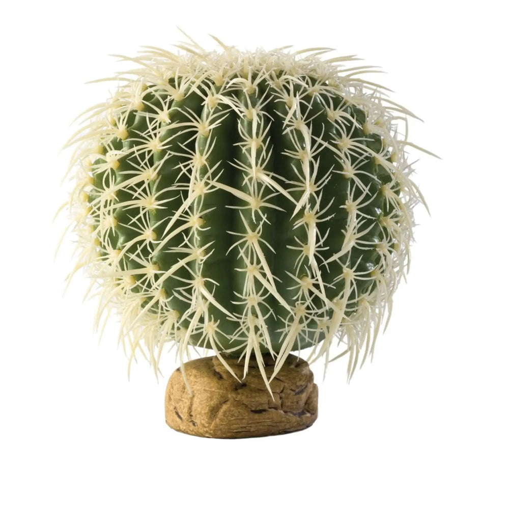 Buy Exo Terra Barrel Cactus (PHD030) Online at £10.79 from Reptile Centre