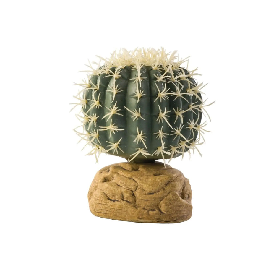 Buy Exo Terra Barrel Cactus (PHD005) Online at £6.39 from Reptile Centre