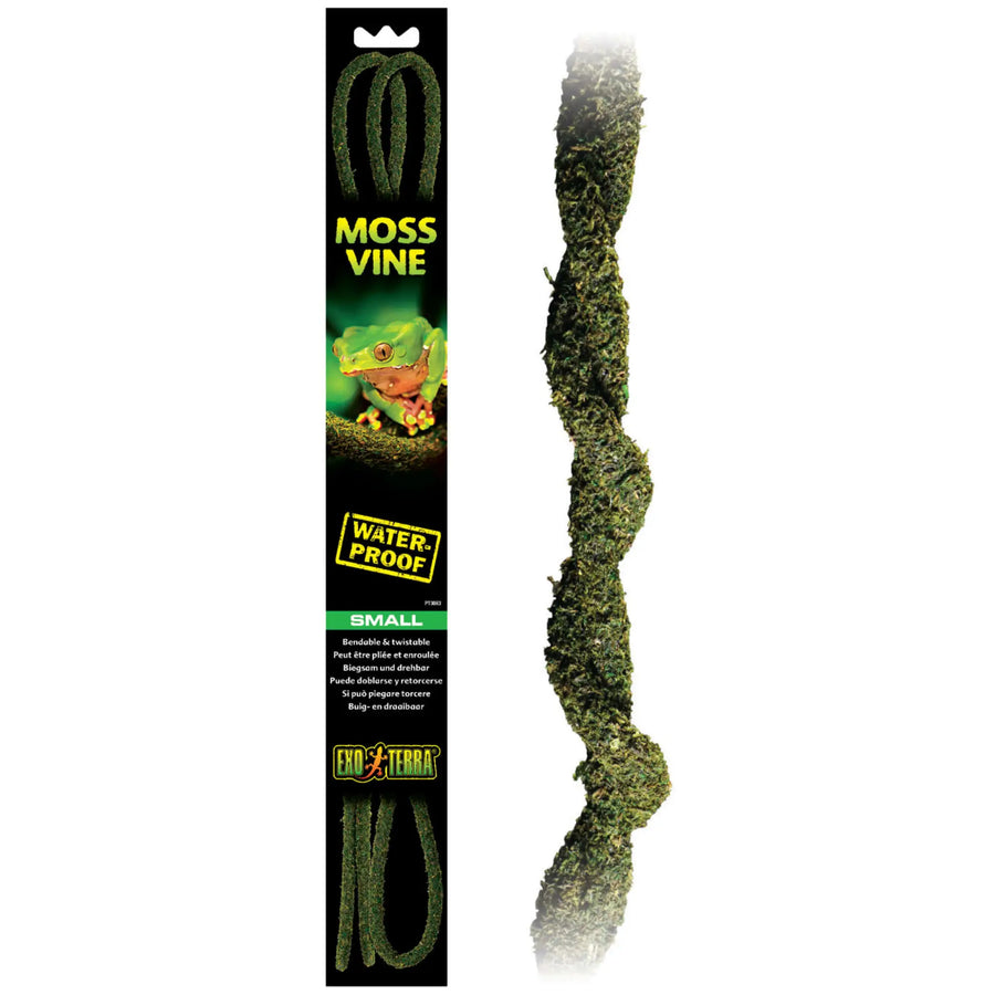 Buy Exo Terra Bendable Moss Vine (DHV005) Online at £8.19 from Reptile Centre