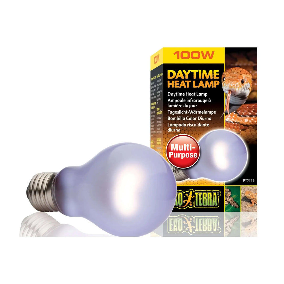 Buy Exo Terra Daytime Heat Lamp (LHN100) Online at £6.09 from Reptile Centre