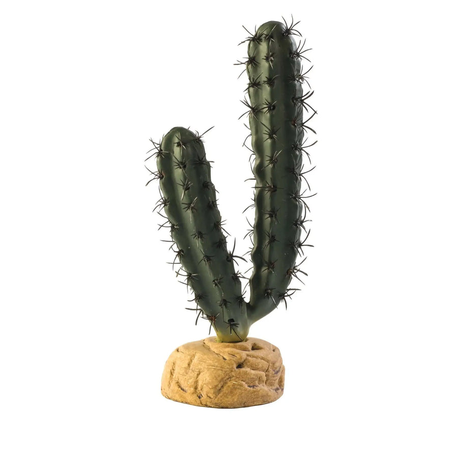 Buy Exo Terra Finger Cactus (PHD020) Online at £6.39 from Reptile Centre