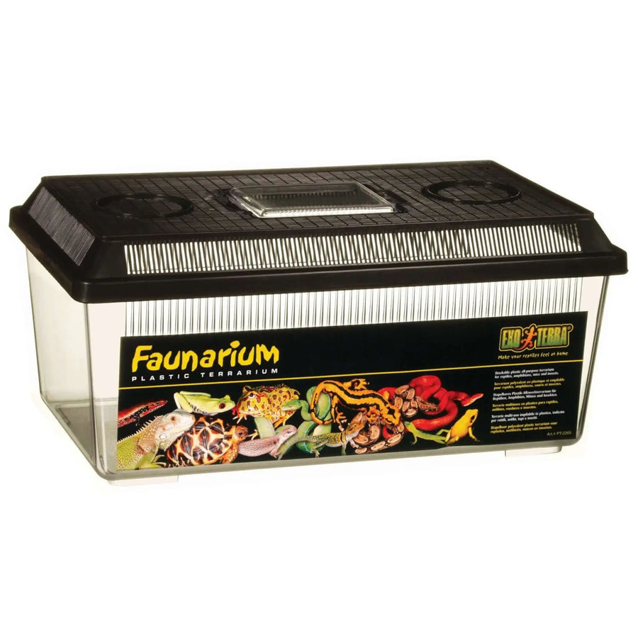Buy Exo Terra Flat Faunarium (THF100) Online at £15.19 from Reptile Centre