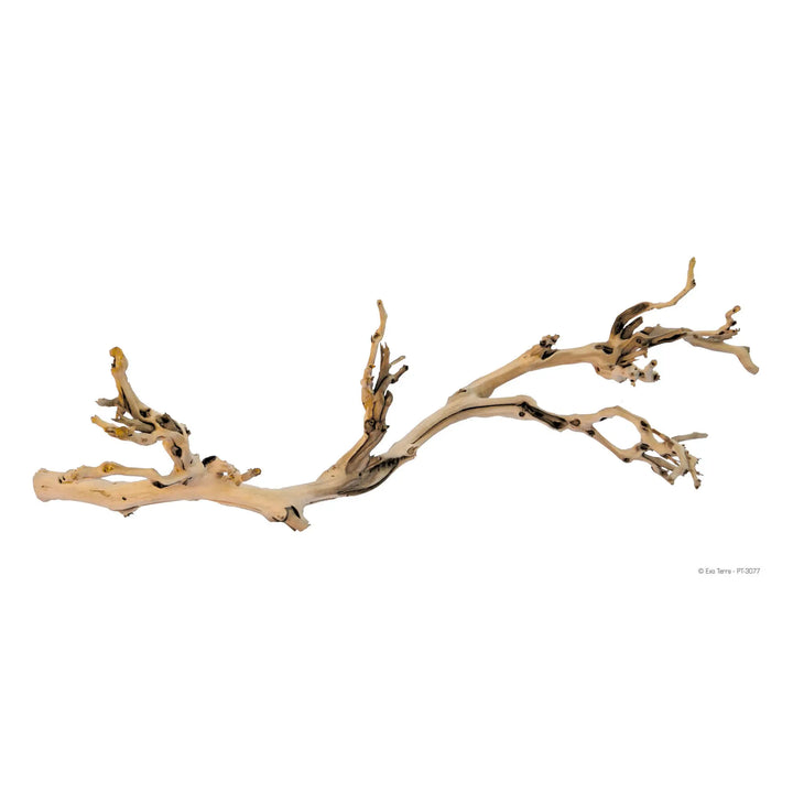 Buy Exo Terra Forest Branch (DHF115) Online at £15.59 from Reptile Centre