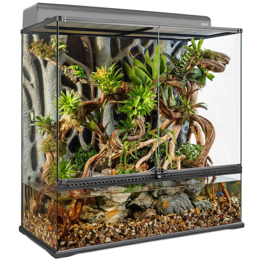 Buy Exo Terra Glass Paludarium Large X-Tall - 90x45x90cm (THT050) Online at £523.99 from Reptile Centre