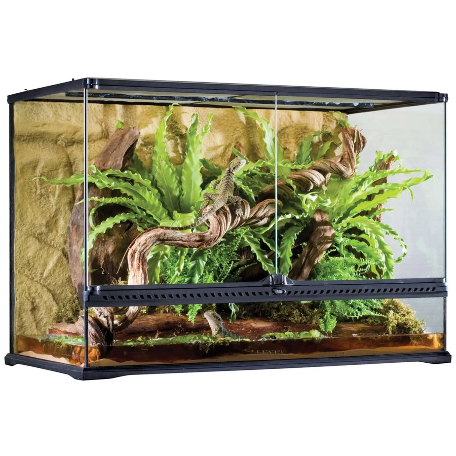 Buy Exo Terra Glass Terrarium Large Tall - 90x45x60cm (THT040) Online at £403.99 from Reptile Centre