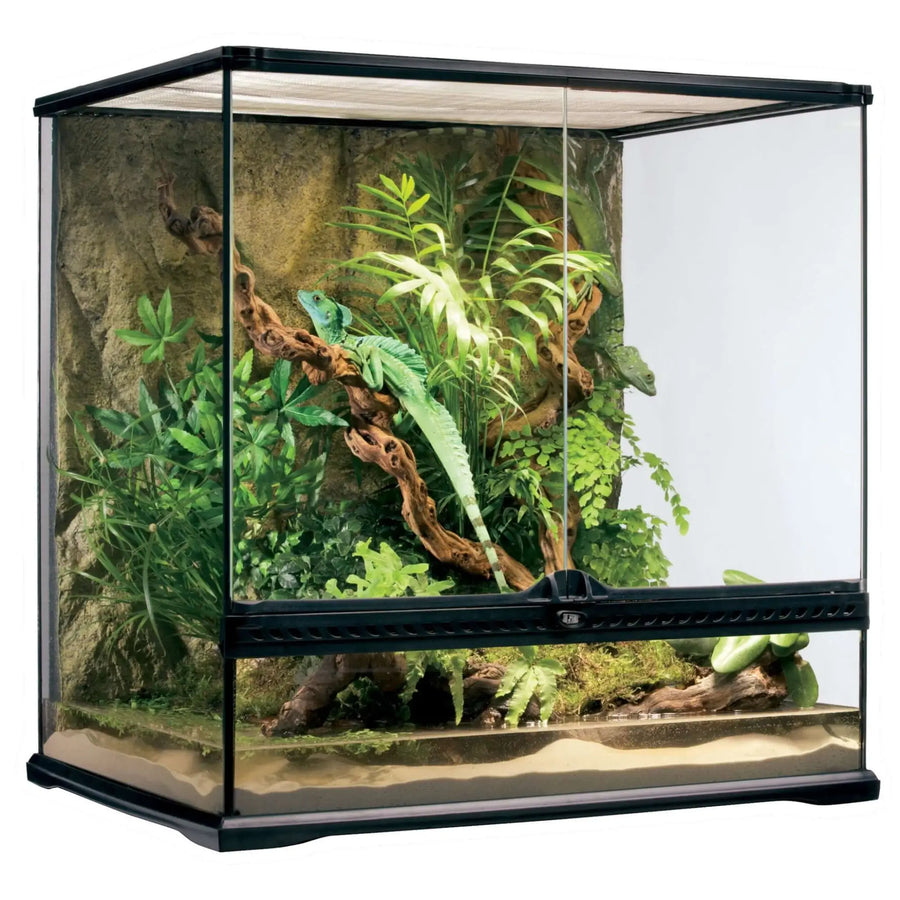 Buy Exo Terra Glass Terrarium Medium Tall - 60x45x60cm (THT030) Online at £260.99 from Reptile Centre