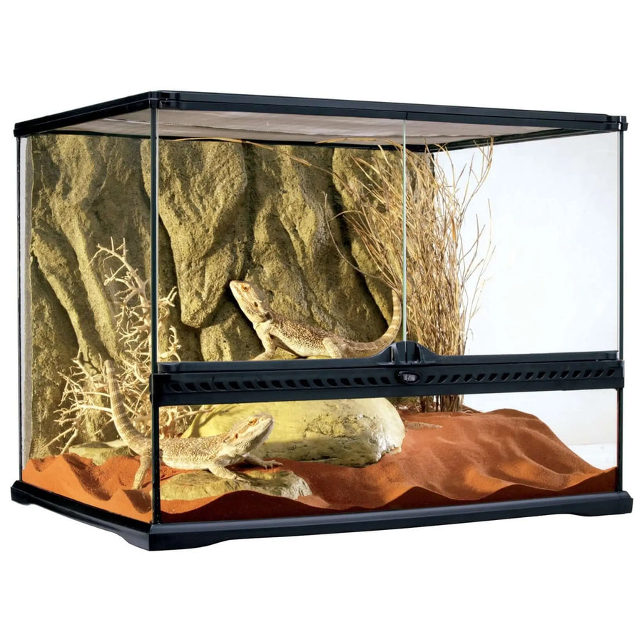Buy Exo Terra Glass Terrarium Medium Wide - 60x45x45cm (THT025) Online at £219.99 from Reptile Centre