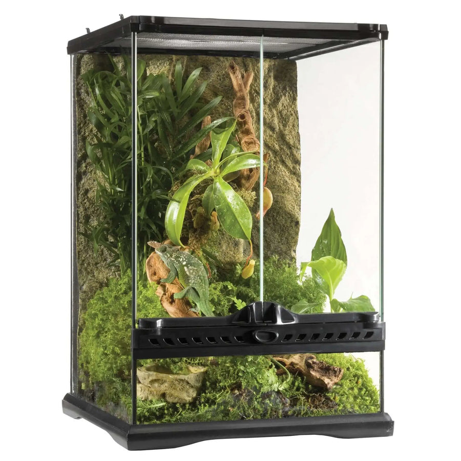 Buy Exo Terra Glass Terrarium Mini Tall - 30x30x45cm (THT010) Online at £101.99 from Reptile Centre