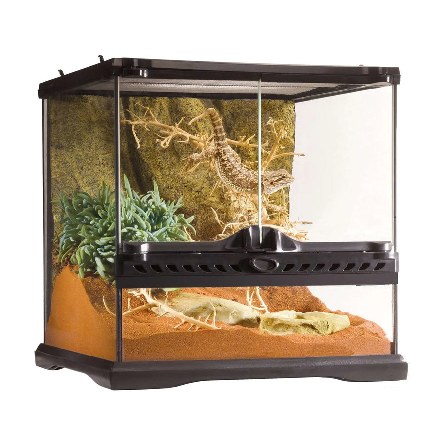 Buy Exo Terra Glass Terrarium Mini Wide - 30x30x30cm (THT005) Online at £88.19 from Reptile Centre
