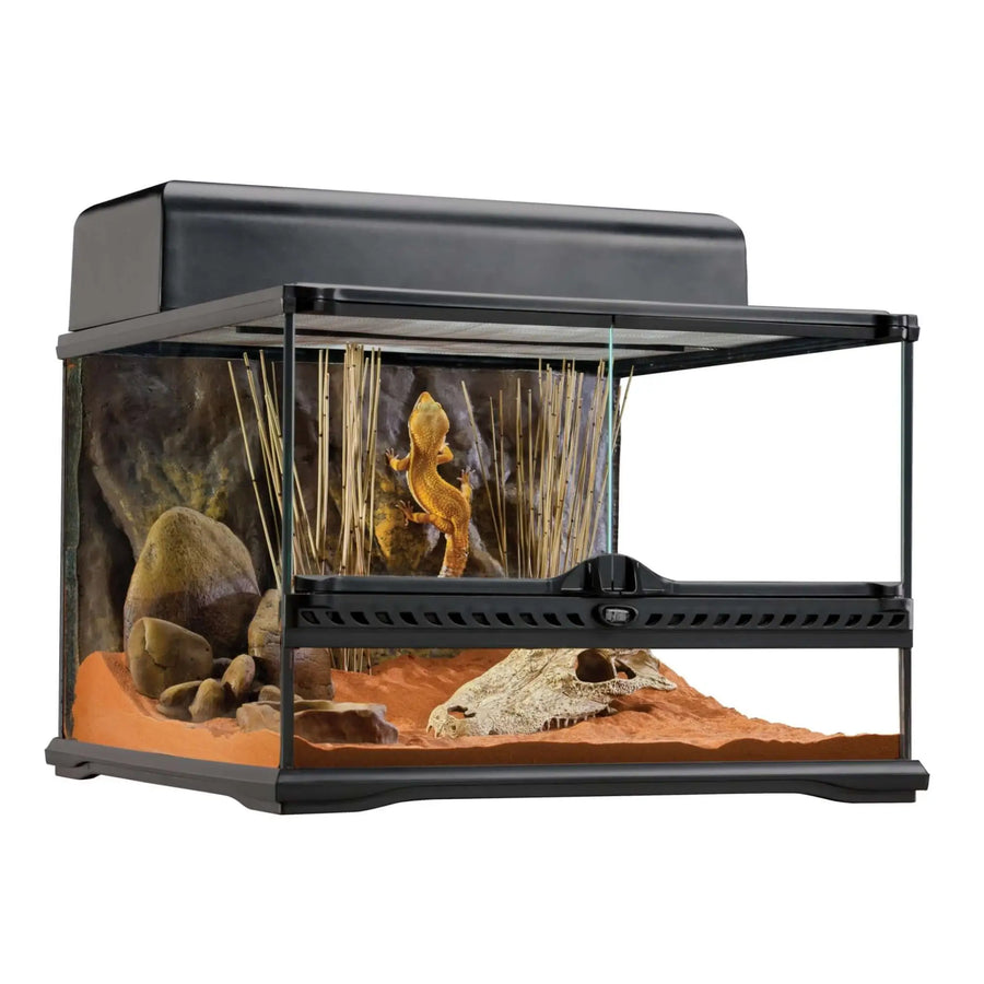 Buy Exo Terra Glass Terrarium Small Low - 45x45x30cm (THT014) Online at £141.99 from Reptile Centre