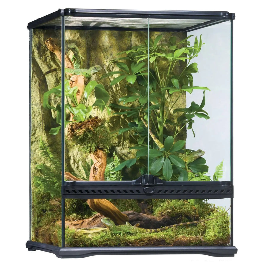 Buy Exo Terra Glass Terrarium Small Tall - 45x45x60cm (THT020) Online at £177.99 from Reptile Centre