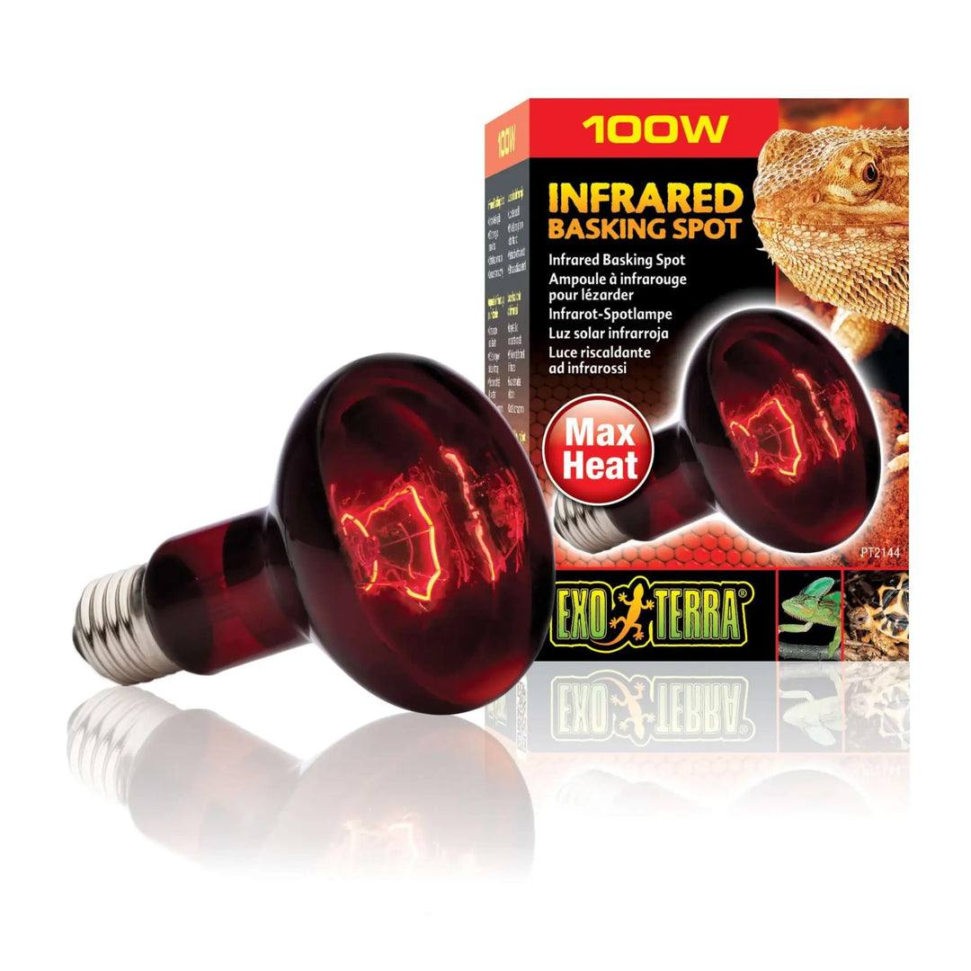 Buy Exo Terra Infrared Basking Spot Lamp (LHI100) Online at £10.09 from Reptile Centre