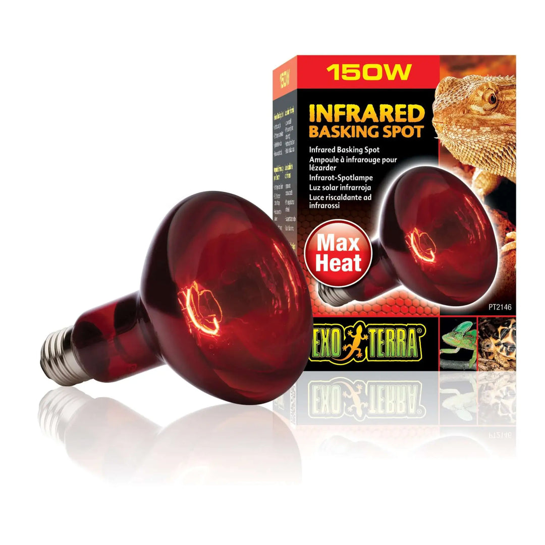 Buy Exo Terra Infrared Basking Spot Lamp (LHI150) Online at £10.99 from Reptile Centre