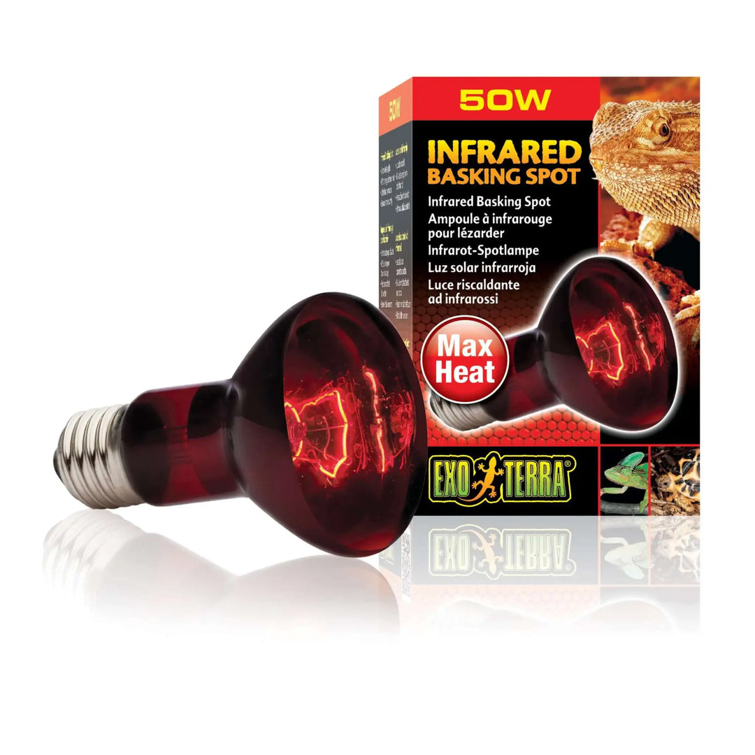 Buy Exo Terra Infrared Basking Spot Lamp (LHI050) Online at £8.79 from Reptile Centre