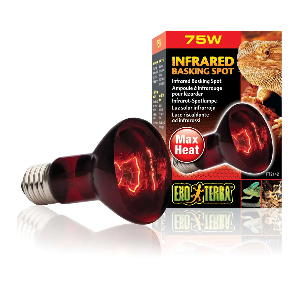 Buy Exo Terra Infrared Basking Spot Lamp (LHI075) Online at £8.79 from Reptile Centre