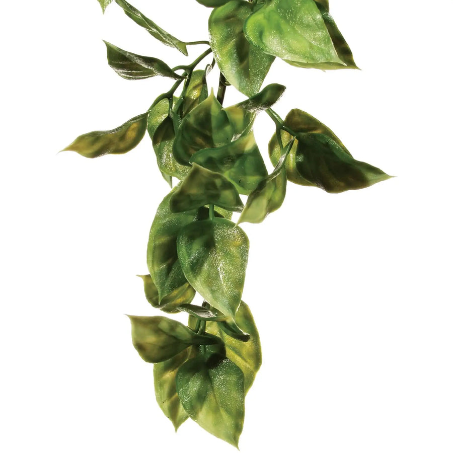 Buy Exo Terra Plastic Plant Amapallo (PHJ101) Online at £3.49 from Reptile Centre