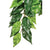 Exo Terra Silk Plant Ficus  - Medium 