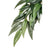 Exo Terra Silk Plant Ruscus  - Large 