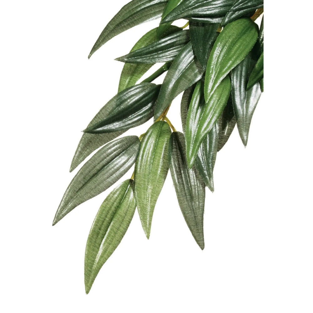 Buy Exo Terra Silk Plant Ruscus (PHJ421) Online at £9.29 from Reptile Centre