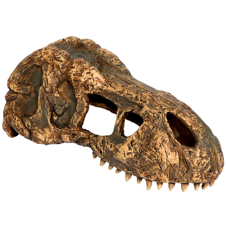 Buy Exo Terra T-Rex Skull (DHS118) Online at £6.09 from Reptile Centre
