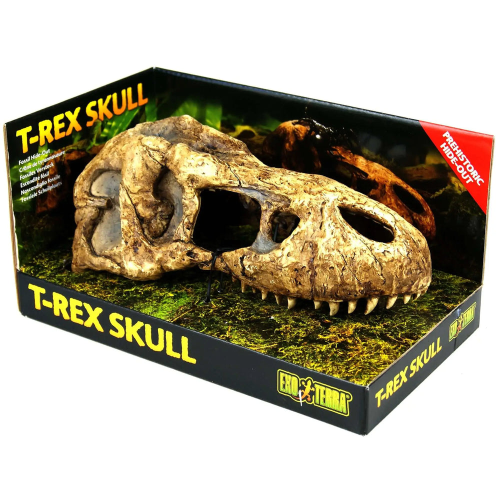 Buy Exo Terra T-Rex Skull (DHS120) Online at £15.99 from Reptile Centre