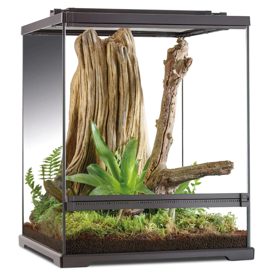 Buy Exo Terra Tree Frog Terrarium 45x45x60cm (THT021) Online at £185.99 from Reptile Centre