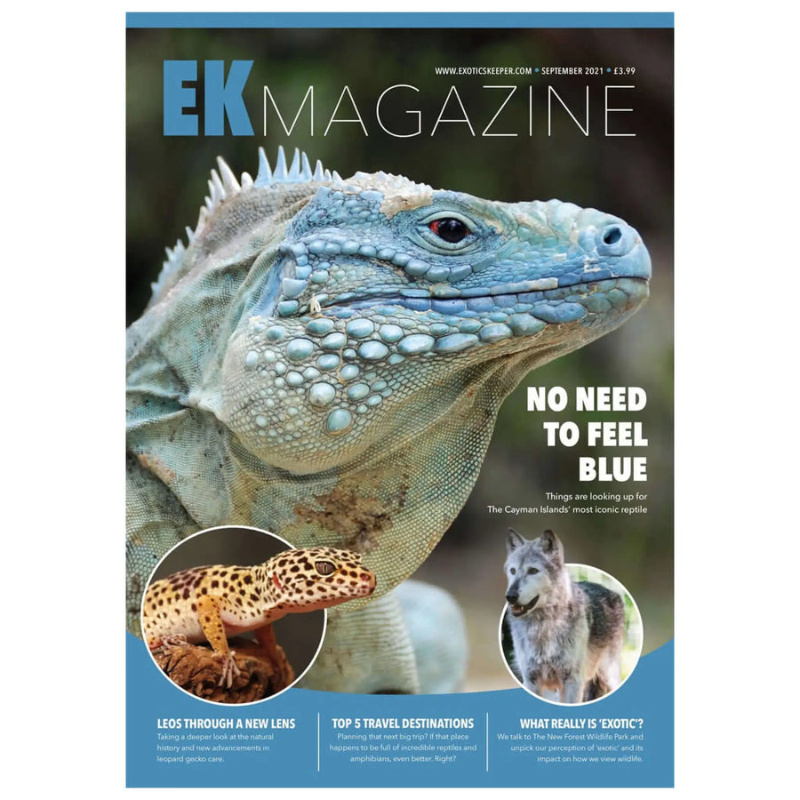 Buy Exotics Keeper Magazine #11 September 2021 (Q-IEK011) Online at £3.99 from Reptile Centre