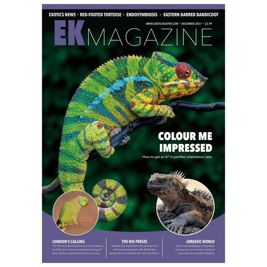 Buy Exotics Keeper Magazine #14 December 2021 (Q-IEK014) Online at £3.99 from Reptile Centre