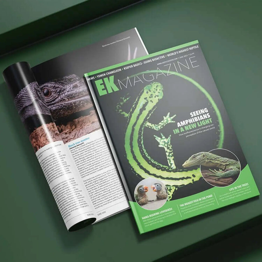 Buy Exotics Keeper Magazine #20 June 2022 (Q-IEK020) Online at £3.99 from Reptile Centre
