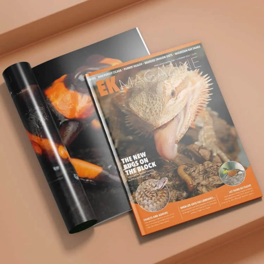 Buy Exotics Keeper Magazine #23 September 2022 (Q-IEK023) Online at £3.99 from Reptile Centre