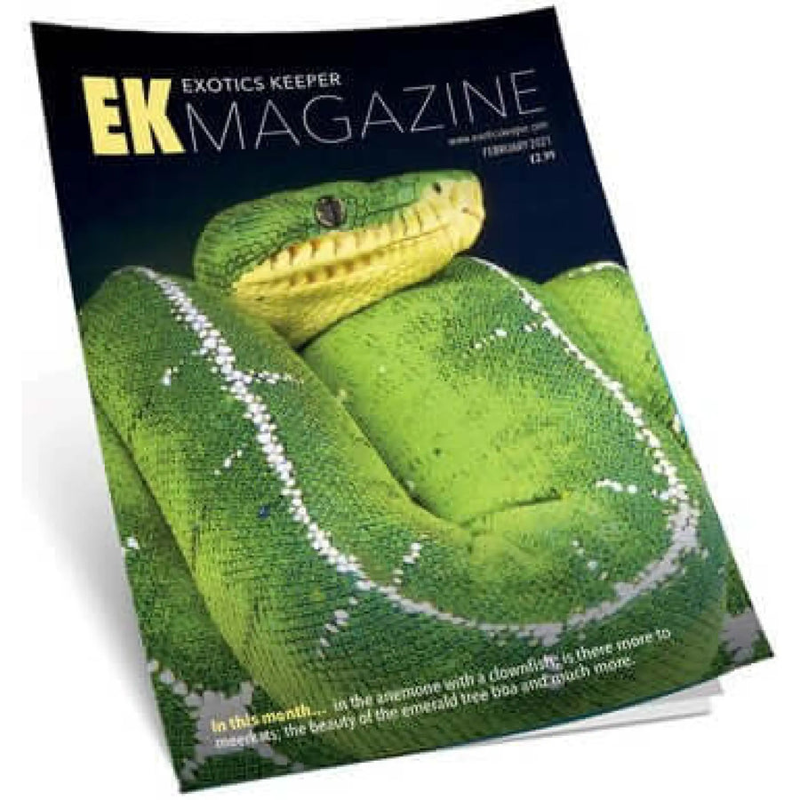 Buy Exotics Keeper Magazine #4 February 2021 (Q-IEK004) Online at £2.99 from Reptile Centre