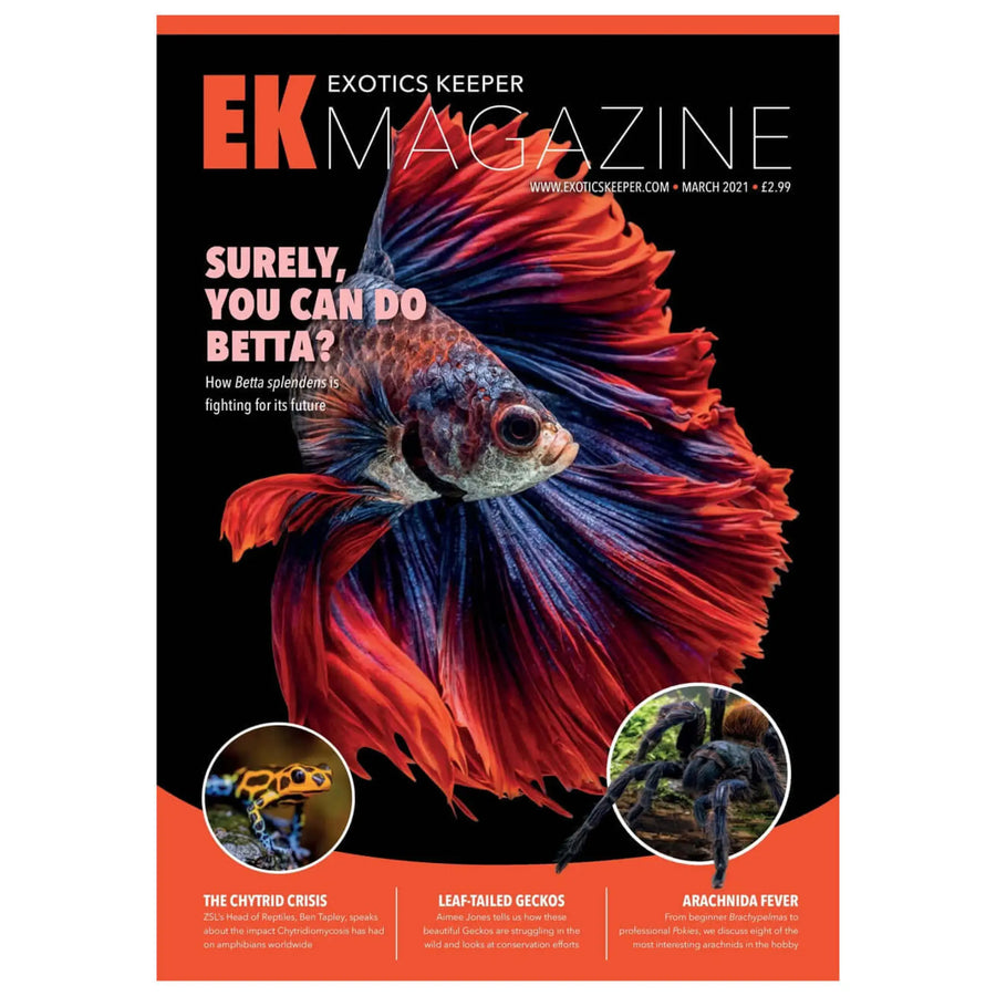 Buy Exotics Keeper Magazine #5 March 2021 (Q-IEK005) Online at £2.99 from Reptile Centre