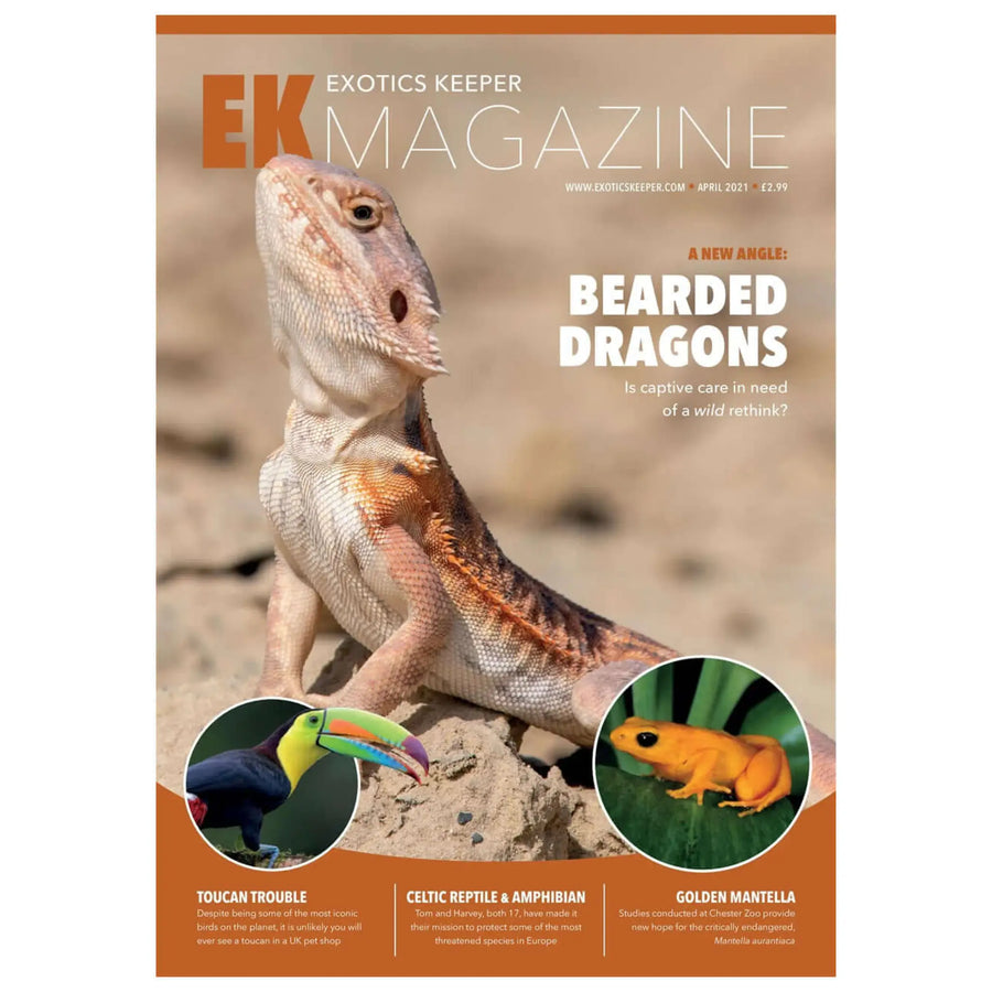 Buy Exotics Keeper Magazine #6 April 2021 (Q-IEK006) Online at £2.99 from Reptile Centre