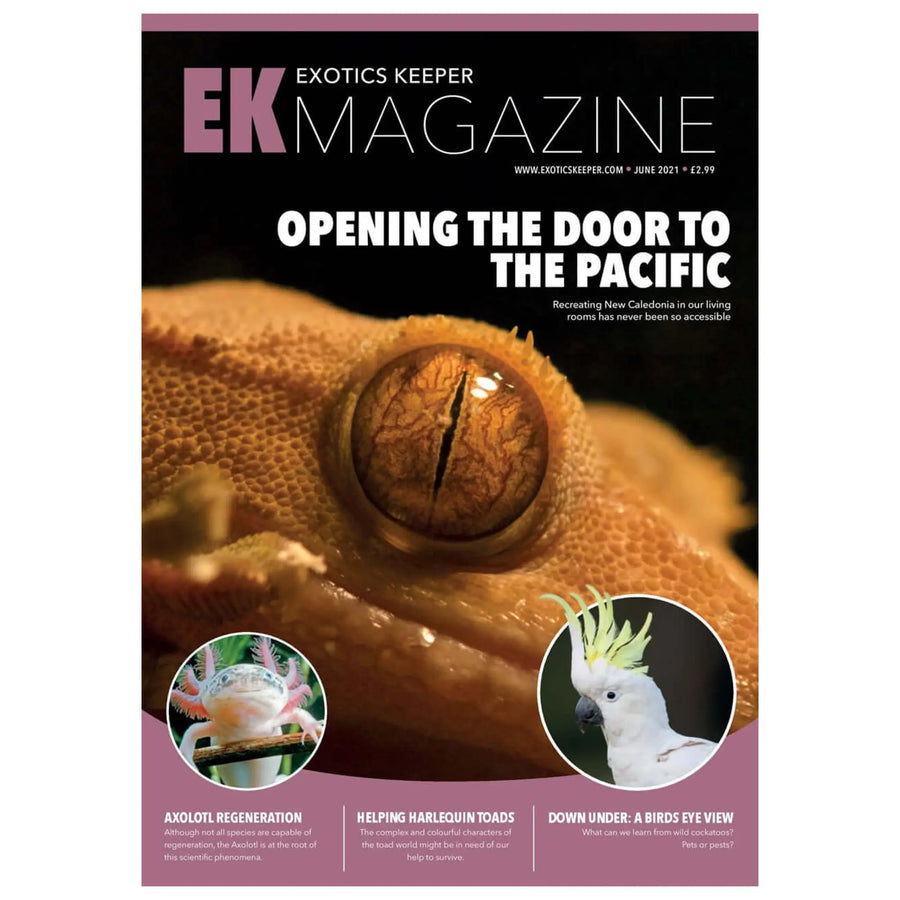 Buy Exotics Keeper Magazine #8 June 2021 (Q-IEK008) Online at £2.99 from Reptile Centre