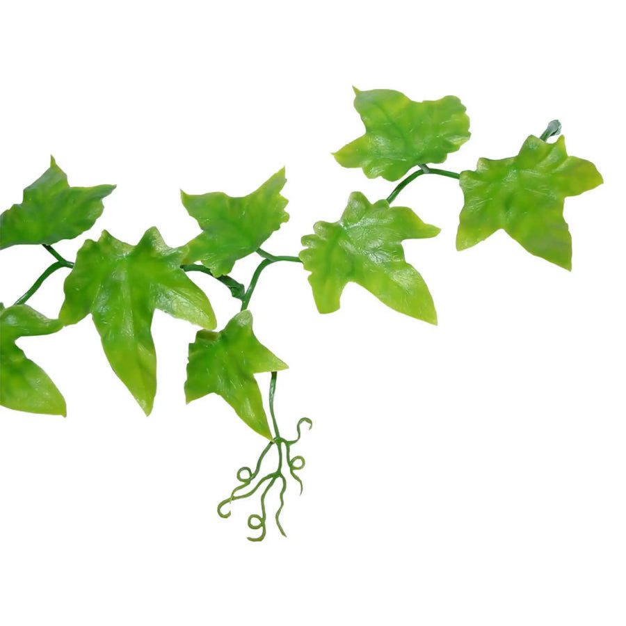 Buy Lucky Reptile Ivy Vine approx. 200 cm (PLV072) Online at £6.29 from Reptile Centre