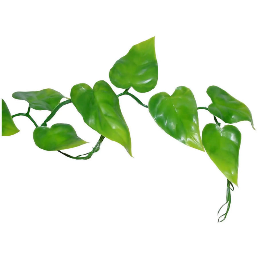 Buy Lucky Reptile Philo Vine approx. 200 cm (PLV071) Online at £6.29 from Reptile Centre