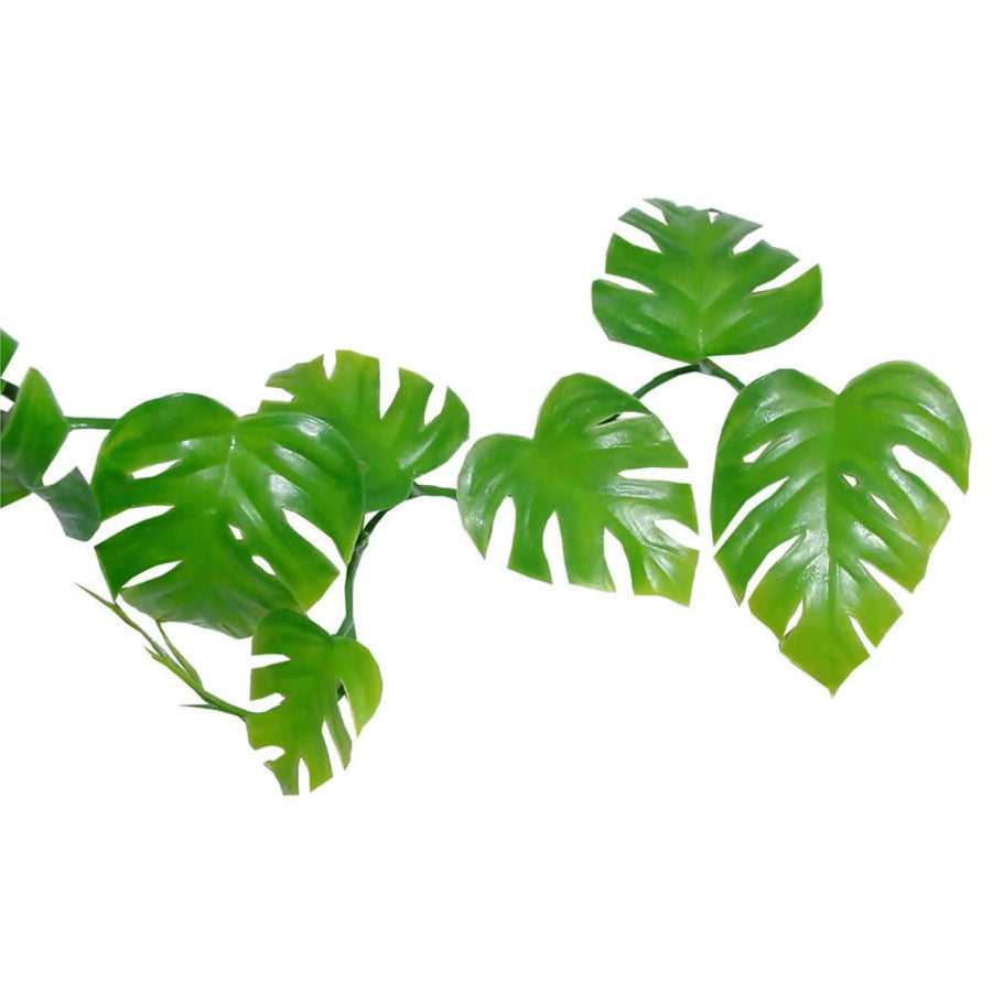 Buy Lucky Reptile Pothos Vine approx. 200 cm (PLV070) Online at £6.29 from Reptile Centre