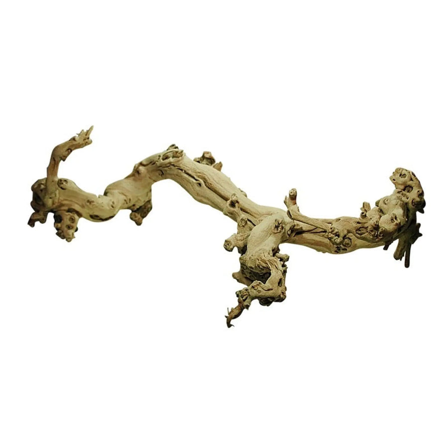 Buy Lucky Reptile Sand-blasted Grapevine (DLG055) Online at £8.69 from Reptile Centre