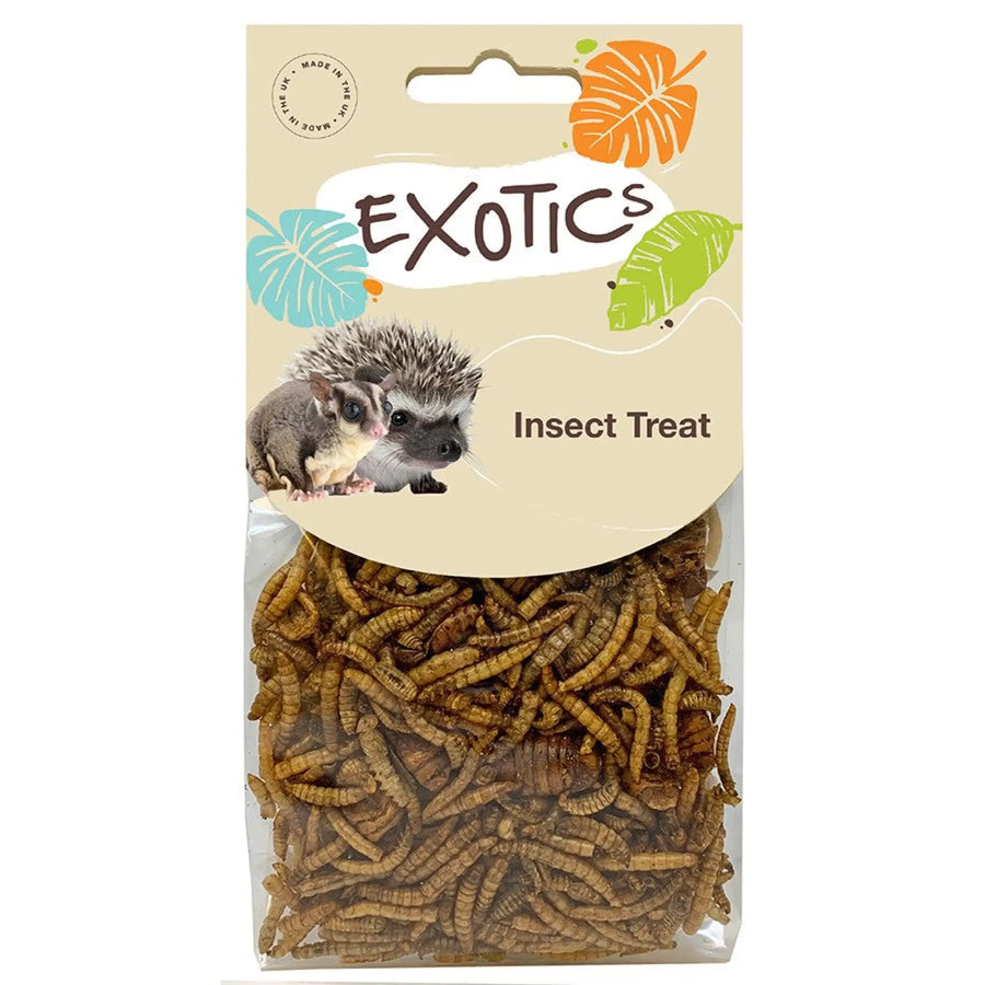 Buy Natures Grub Pygmy Hedgehog Insect Treat 35g (FNE020) Online at £3.09 from Reptile Centre