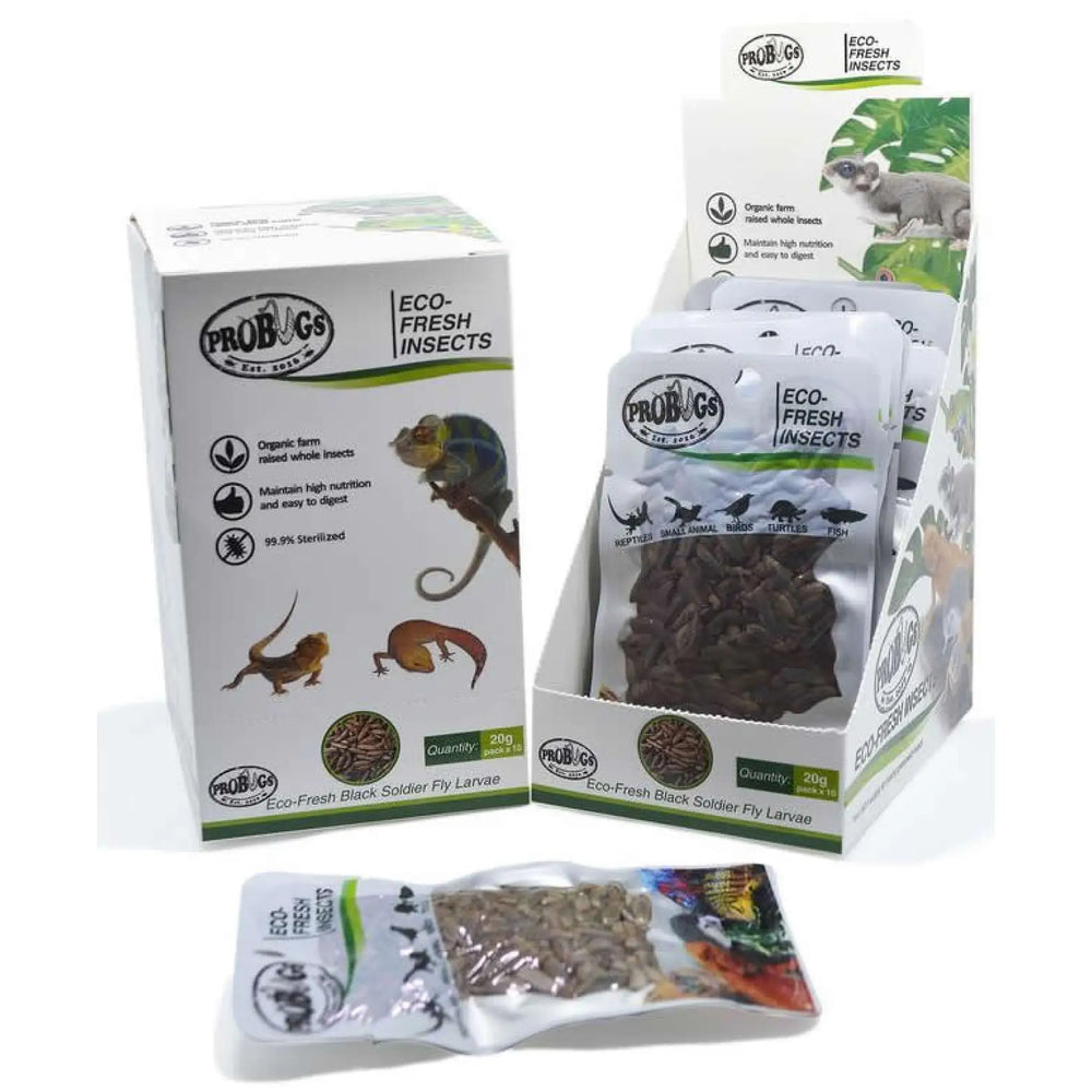 Buy ProBugs Eco Fresh Black Soldier Fly Larvae 20g (FBG035) Online at £23.69 from Reptile Centre