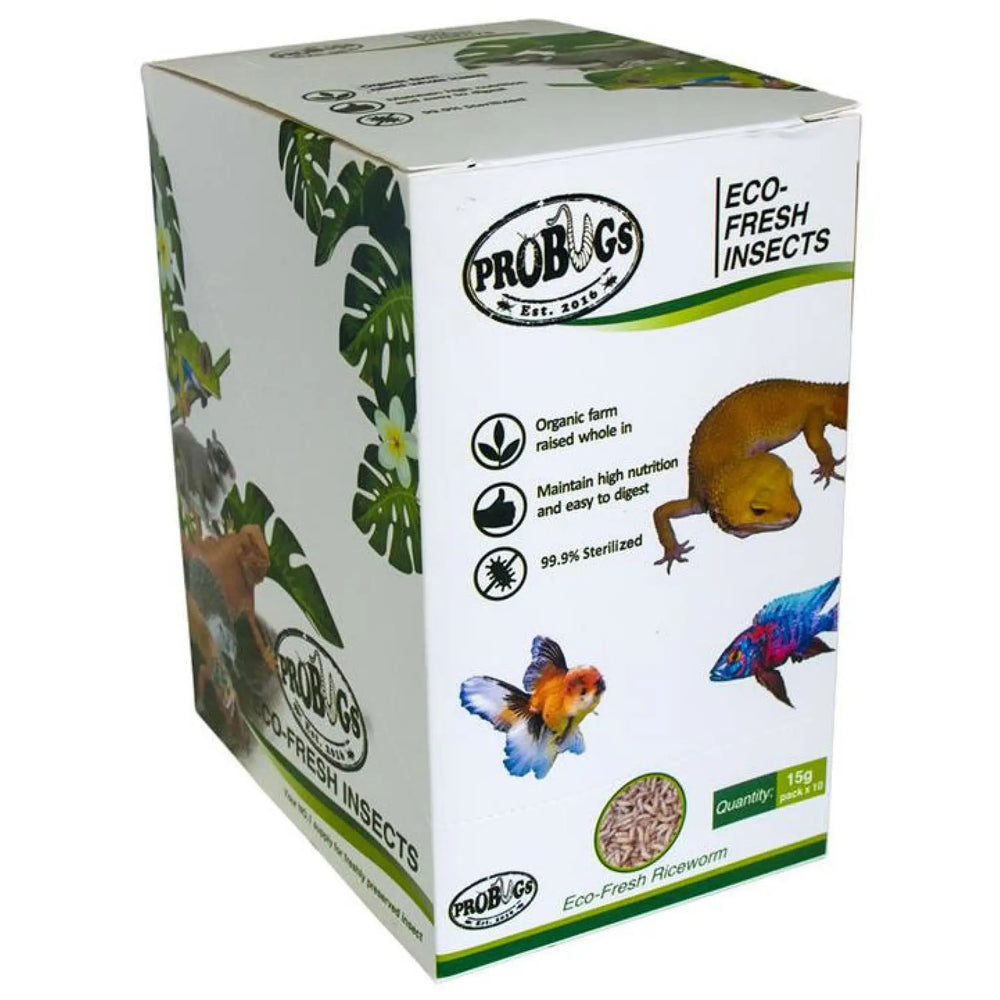 Buy ProBugs Eco Fresh Riceworms 15g (FBG015) Online at £23.69 from Reptile Centre
